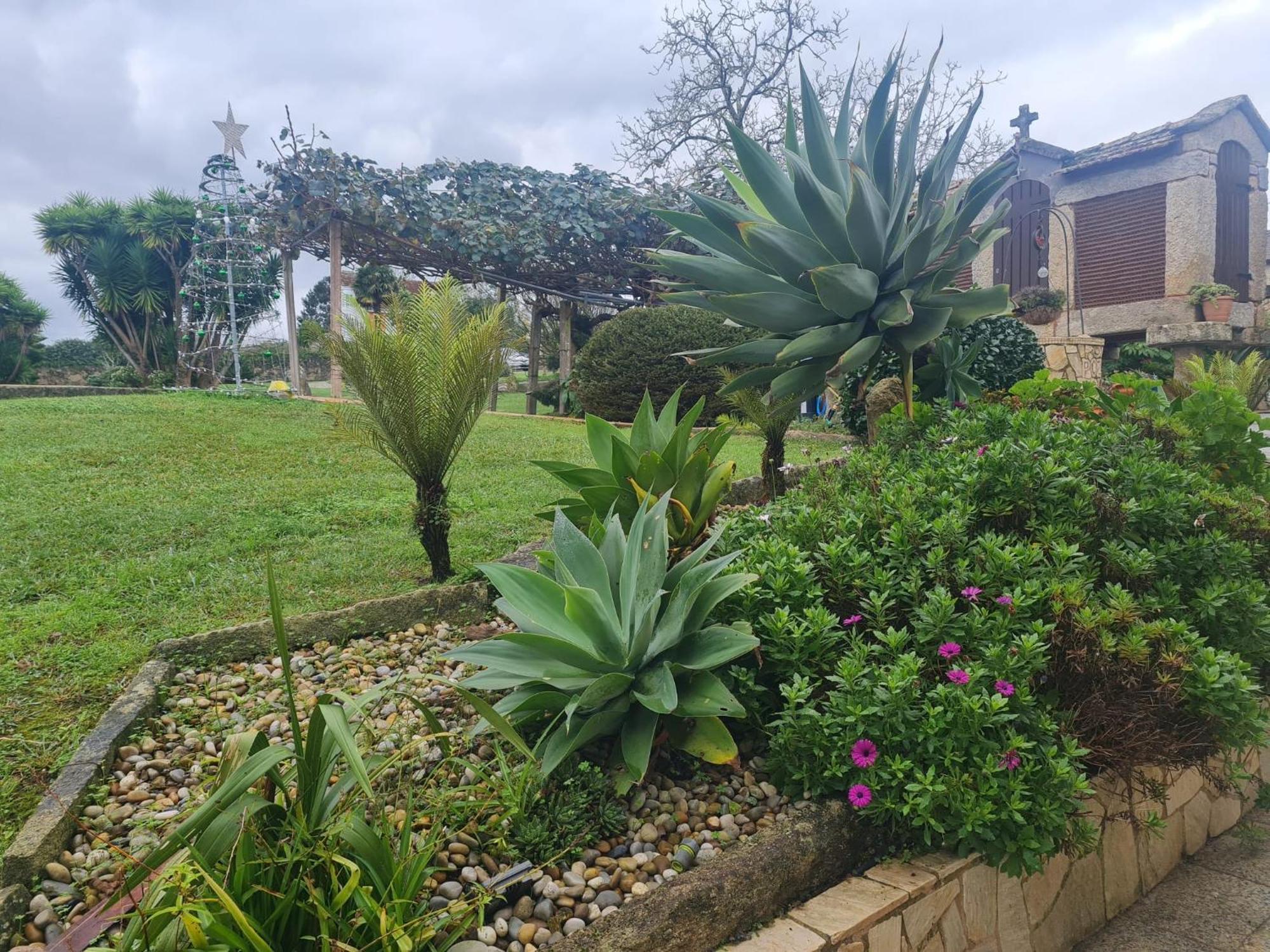 Vila Lugar Da Pereira Nigrán Exteriér fotografie